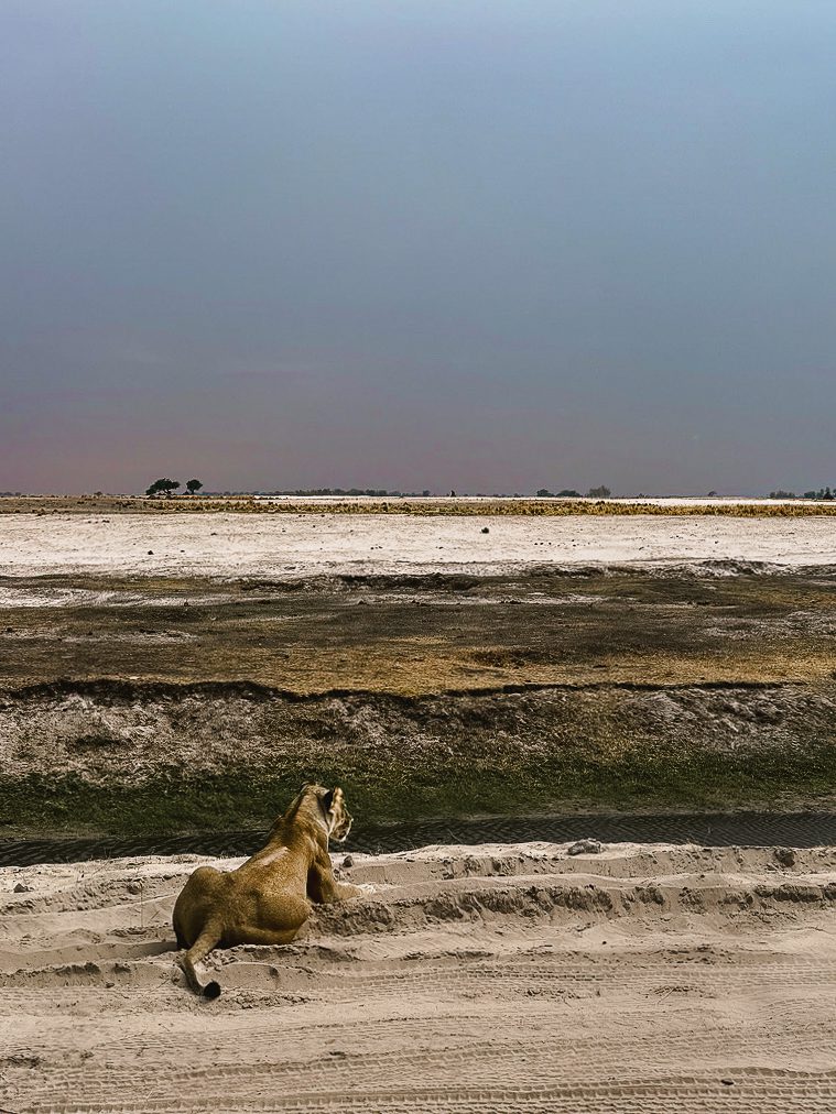 Chobe House Packages