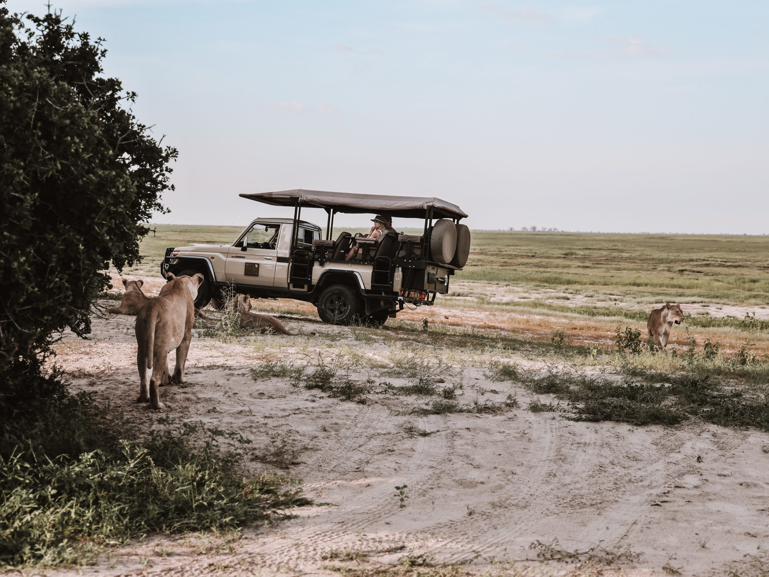 Chobe House Botswana, a unique safari experience