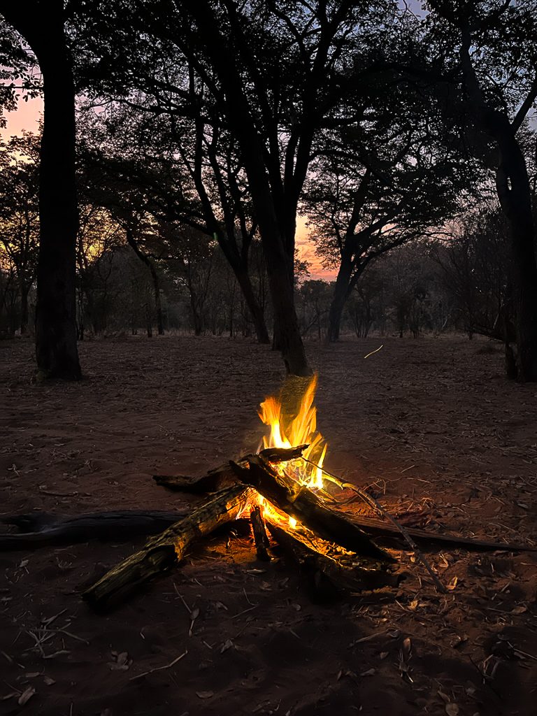 Chobe House Botswana, a unique safari experience